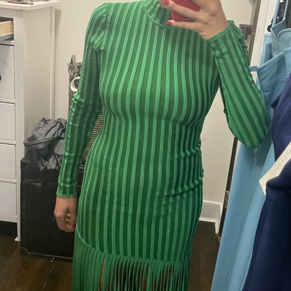 Ronny Kobo Adkins Knit Fringe Midi Dress - Picture 10 of 10